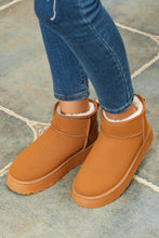 Load image into Gallery viewer, Anna Fur Lined Suede Ankle Snow Boots
